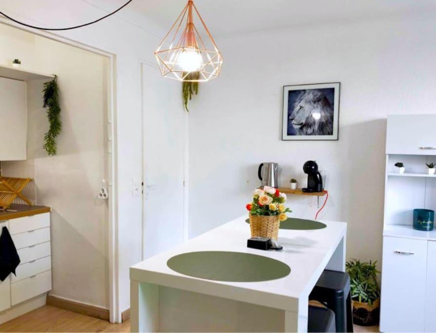 Studio Proche Centre Wifi Parking Lejlighed Montpellier Eksteriør billede